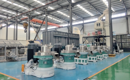 买生物质颗粒机怕踩坑？颗粒机厂家教你 3 招选对机型